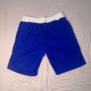 Mines blue and white Jordans shorts 23 large